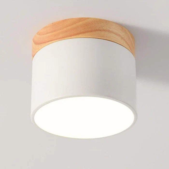 Luminária de Teto Plafon LED – Design Moderno e Cores Suaves