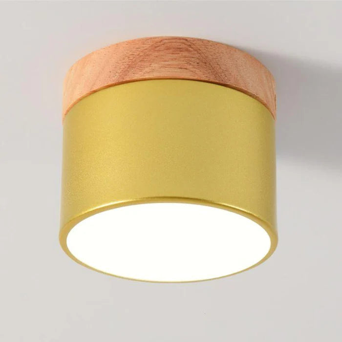 Luminária de Teto Plafon LED – Design Moderno e Cores Suaves