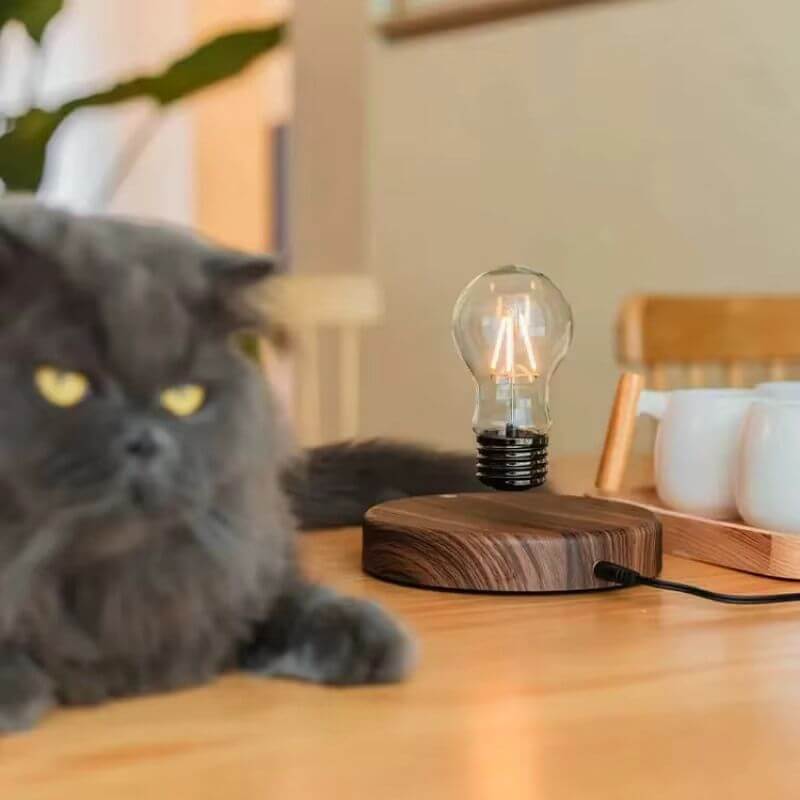 Abajur de Levitação Magnética com Lâmpada Flutuante Design Futurista