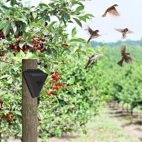 Alarme Solar Repelente de Pássaros Impermeável – Proteção para Jardins e Lavouras