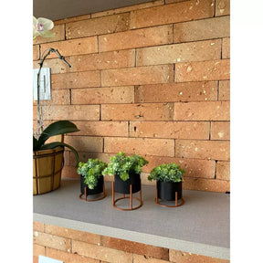 Kit 3 Vasos Mini com Suporte – Decoração Moderna e Compacta