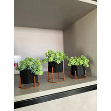 Kit 3 Vasos Mini com Suporte – Decoração Moderna e Compacta