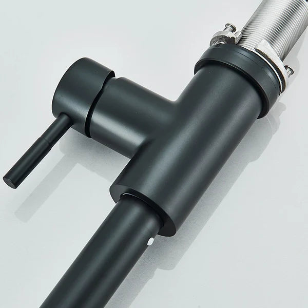 Torneira Gourmet de Cozinha Monocomando com Spray Extensor Flexível